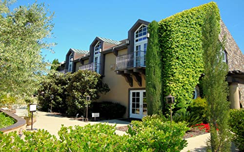 USA Real Estate