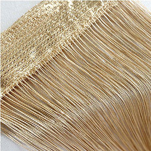 Vidillo Plata Cortina, Purpurina Panel Cortina Cadena 100 x 200 cm Plata Gotas de Rocío Blancas/Platas, Cortina de la Puerta, Le Ayudará a Mantener Alejadas las Indeseadas Moscas (champán)