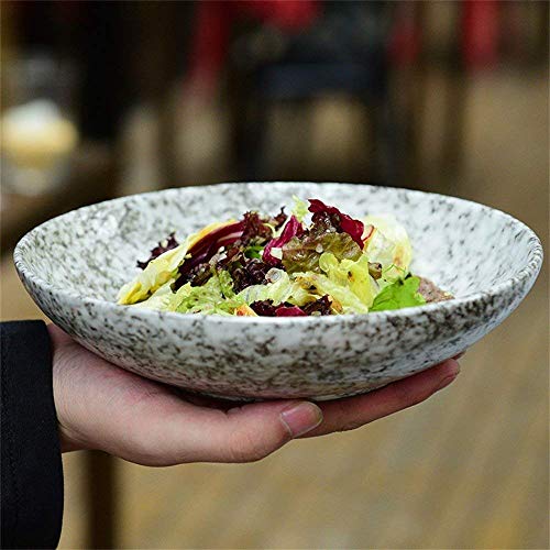 WEHOLY Cena Creativa Cerámica Copo de Nieve Glaseado Ensalada Tazón Sopa Tazón Arroz Tazón Pescado al Vapor Fruta Fideos Pasta Tazón Sopa Vajilla 8.4 Pulgadas