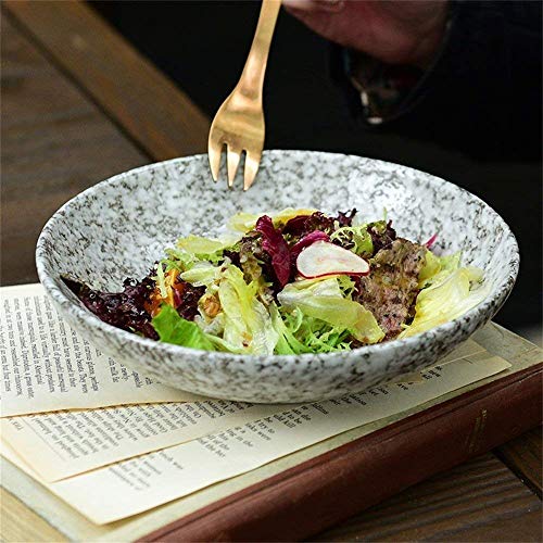 WEHOLY Cena Creativa Cerámica Copo de Nieve Glaseado Ensalada Tazón Sopa Tazón Arroz Tazón Pescado al Vapor Fruta Fideos Pasta Tazón Sopa Vajilla 8.4 Pulgadas