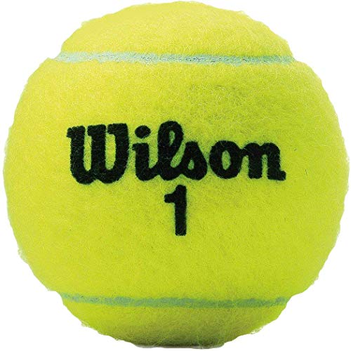 Wilson Champ Extra Duty Pelotas de tenis, tubo con 3 pelotas, para todas las superficies, amarillo