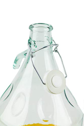 WysKonT - Juego de 5 L 10 L 15 L 20 L 25 L 30 L Globo de Cristal para Vino, Botella de Cristal de fermentación, tapón de Goma