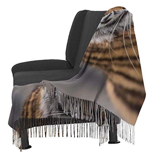 XCNGG Bufanda con flecos de cachemira de imitación chal bufanda larga de moda Women Scarves Winter Soft Warm Close Cashmere-like Tassel Shawl Stole Scarf