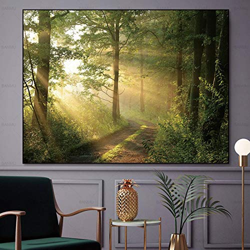 xinyouzhihi Bosque Cartel Imprimir Lienzo Pintura Imágenes Imprimir Obra de Arte Decoración de la Pared Poster Artworks For Homes 40x50cm Sin Marco