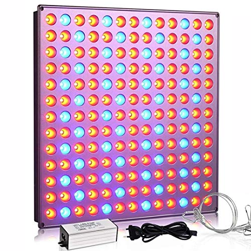 Yasbed Lámpara LED para plantas, 75 W, luz de crecimiento para plantas de interior, espectro completo, luz para plantas, hidropónica, invernadero, suculentas, flores