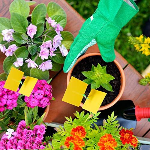 YHmall 30 Pcs Trampa Moscas, Atrampa Moscas Insectos Amarillo de Doble Cara para Proteger Plantas y Atrapar Moscas, Insectos Voladores