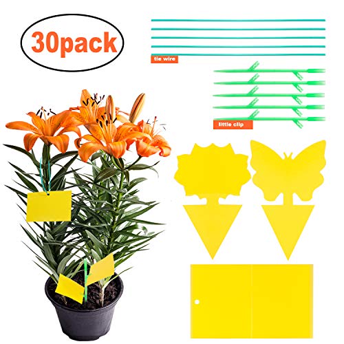 YHmall 30 Pcs Trampa Moscas, Atrampa Moscas Insectos Amarillo de Doble Cara para Proteger Plantas y Atrapar Moscas, Insectos Voladores