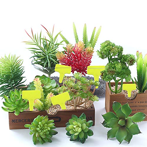 120PCS Etiquetas de Plantas de jardín Etiquetas de plástico, 1 Paquete Kit de jardín Herramientas para jardín de Hierbas Interior al Aire Libre, Semillas Hierbas en macetas Flores Verduras