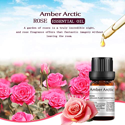 Aceite esencial de rosa - 100% puro mejor aceite esencial de grado terapéutico, aceite de aromaterapia natural para difusor
