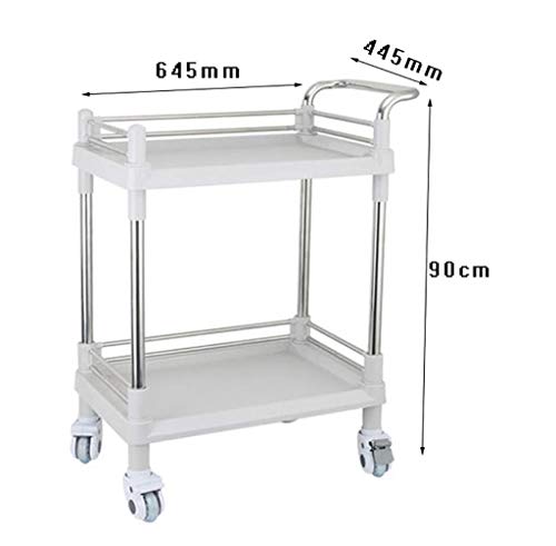 AIYE Carro médico de Acero Inoxidable para Laboratorio de 2 Niveles, salón de Belleza para peluquería Carro rodante, salón de Belleza, clínica, Hospital, Laboratorio