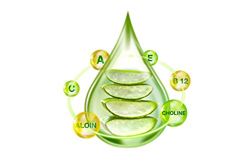 Aloe vera gel de Anica | Crema hidratante natural y pura para la piel y el cabello | Para quemaduras de sol, caspa, eczema, cortes, erupciones, cicatrices, acné, uñas | Orgánica y sin crueldad.
