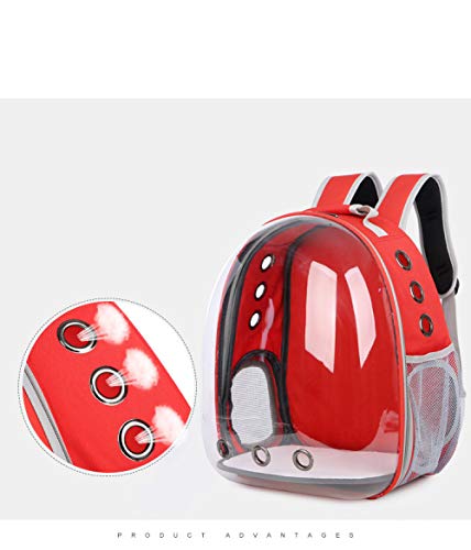 AMTSKR Space Capsule Mochila transparente para mascotas, bolsa de mano para perros, suministros fuera de la caja, bolsa de limpieza portátil para gatos, 34 x 25 x 42 cm