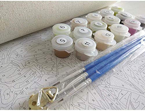 ANANVELDOR Pintura por Números Anémona Flor Blanca Pequeña Hierba Digital para Adultos Y Niños Juego De Regalo Aceite Bricolaje Lienzo Artista Decoración del Hogar Sin Marco