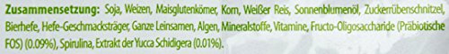 Benevo - Alimento para gatos vegetarianos y veganos (10 kg)