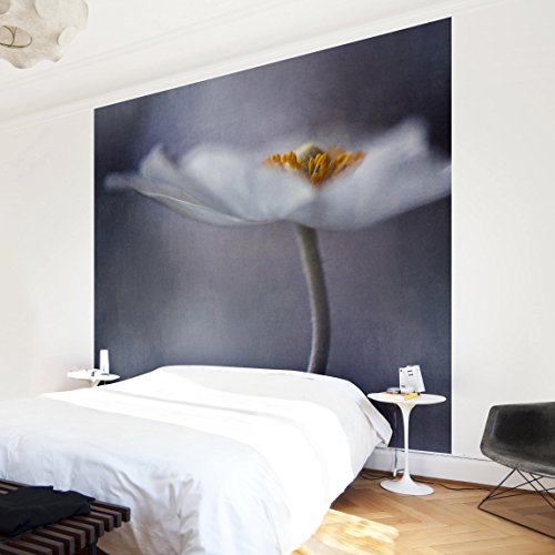 Bilderwelten Fotomural - Flor blanca de la Anémona - Mural cuadrado papel pintado fotomurales murales pared papel para pared foto 3D mural pared barato decorativo, Tamaño: 192cm x 192cm