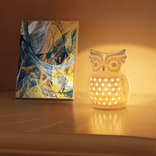 ComSaf Búho Quemadores de Aceite con Cuchara de Vela Conjunto Blanco, Cera de Porcelana Candelita Derrite Quemadores Encantador Quemador de Aceite Difusor de Aroma Decoración Casa