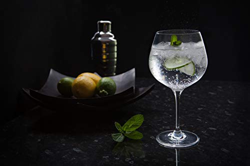 Dartington Crystal de Vino y Bar/Copa Gin y Tonic, Claro, Pack de 2