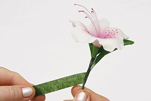 Decora 0803050 Cinta DE Papel para FLORISTAS Verde 12MM 27M