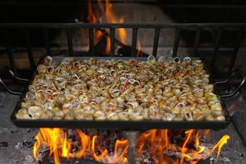 DOJA Barcelona | Lata de Hierro para Caracoles o Arroz al Cuadrado | Dimensiones: 26X30 | Caragols a la llauna Arroz a la llauna | Bandeja estándar
