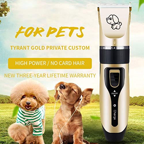 Doubleer Cortapelos para Mascotas para Perros Wiki Recortador de Pelo de Gato - Las Mejores cortadoras de Perros sin Cable de Poco Ruido | Juego de cortapelos Profesional con 4 peines + Cepillo