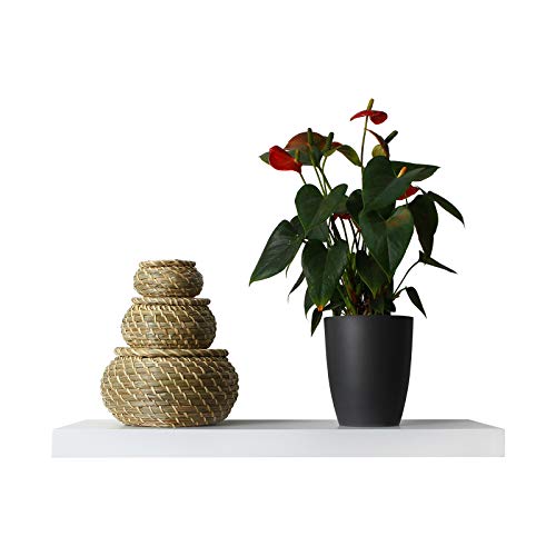 EUGAD Estantería Pared Madera Blanco Estante Flotante para Colgar Libro CD en Cocina Salon Dormitorio 80cm 0044QJ