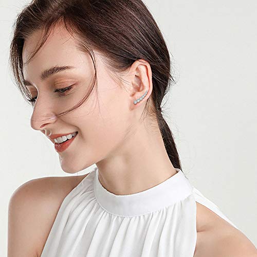 EVER FAITH® - 925 Plata Esterlina Redondo CZ Simple Oreja Envuelto Sweep Gancho Pendientes 1 Par Claro N07222-1