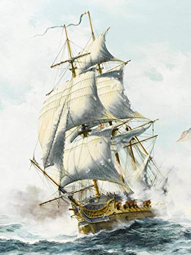 FDDPT Puzzle 1000 Piezas Vela Olas Rompecabezas de Madera para Adultos Juego Familiar 75x50cm