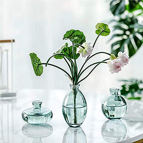Gaojian Mini 3 Flor de Cristal floreros, Flores de Tallo único Mini Botellas de baño de Estilo de época, para la Tabla del Boda Decoración