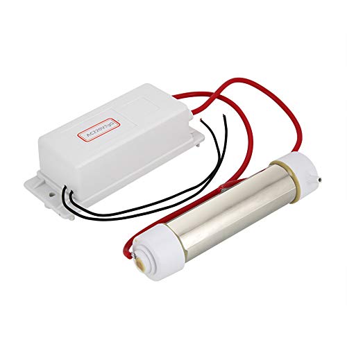 Generador de ozono Ionizador Ozonizador Purificador de agua de aire Máquina para esterilización Fruta Verdura