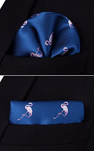 HISDERN Red-Crowned Crane Wedding Party Tie Panuelo corbata de los hombres y juego de bolsillo cuadrado