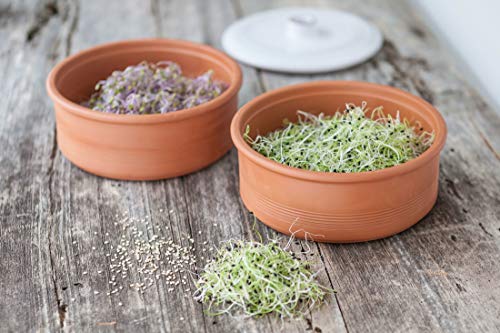 HostelNovo Germinador de Semillas de cerámica Natural - 3 Niveles con amplío Almacenamiento para Las Semillas - Medidas 17 x 19 cm