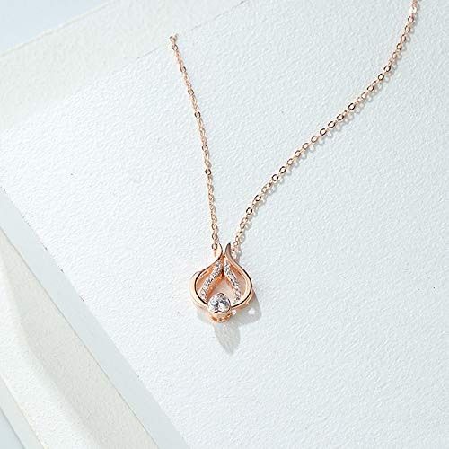 HUKJ Collar De ala De Ángel De Moda De Plata Esterlina S925, Cadena De Clavícula con Incrustaciones De Diamantes, Joyería Personalizada Deformable De Dos Usos