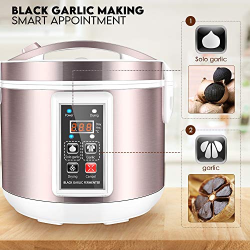 InLoveArts Fermentador de ajo Negro Control automático automático Inteligente Máquina de ajo Máquina de Bricolaje Inteligente de Dientes múltiples de ajo 5L