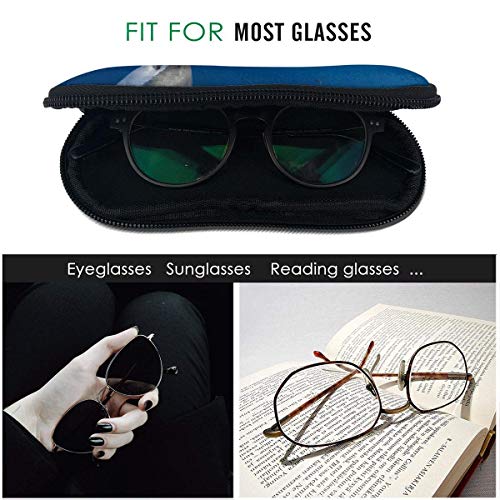 IUBBKI Estuche para gafas de sol, bandera de las Islas Vírgenes de los Estados Unidos, blanco, talla única