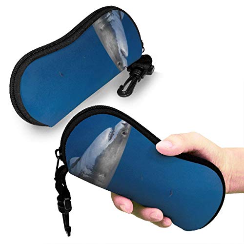 IUBBKI Estuche para gafas de sol, bandera de las Islas Vírgenes de los Estados Unidos, blanco, talla única