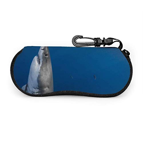 IUBBKI Estuche para gafas de sol, bandera de las Islas Vírgenes de los Estados Unidos, blanco, talla única