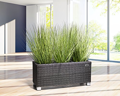 Jardinera Gartenfreude, separador de ambientes, polyrattan para interiores y exteriores, inserto de plástico con pies de aluminio, antracita, 78x27x34 cm, 4000-1072-001