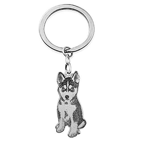 Junmei Llavero Personalizado de la Foto del Animal doméstico, Llavero de Acero Titanium Grabado Personalizado del Retrato para el Regalo conmemorativo del día de Padre