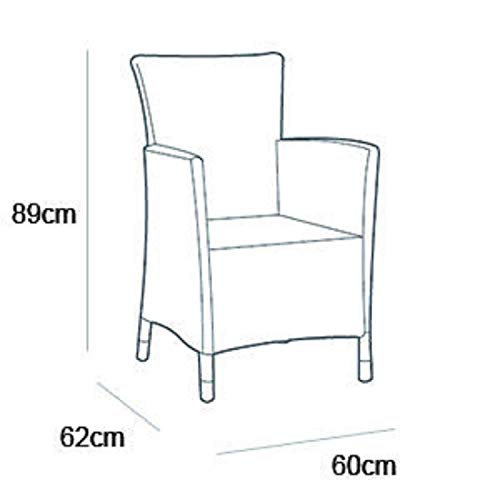 Keter Iowa Sillón de exterior e interior con cojín incluido, Blanco