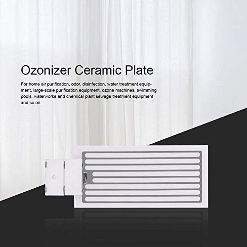 Kit de purificador de aire de placa de cerámica Ozonizador generador de ozono portátil(3.5g)