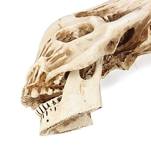 MYAMIA Xenomorph Alien Película Cráneo Resina Heteromorphosis Boceto Modelo Home Decor Juguetes Bar
