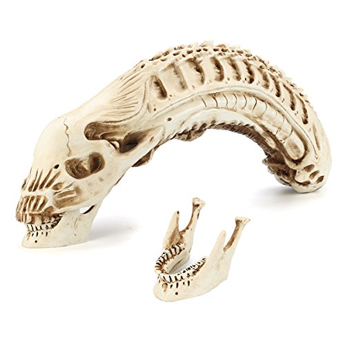 MYAMIA Xenomorph Alien Película Cráneo Resina Heteromorphosis Boceto Modelo Home Decor Juguetes Bar