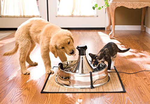 PetSafe Drinkwell - Fuente para Mascotas, 360, de Acero Inoxidable