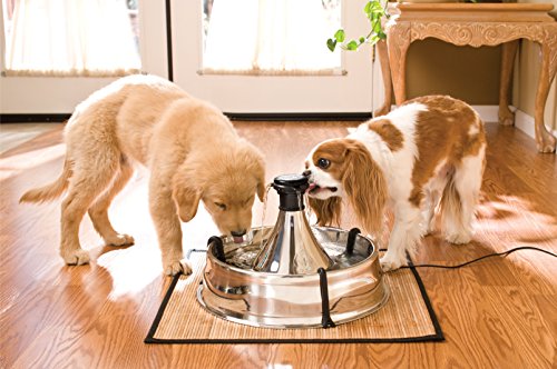 PetSafe Drinkwell - Fuente para Mascotas, 360, de Acero Inoxidable