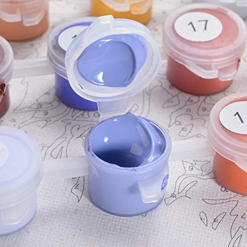 Pintar por números para Adultos Paisaje de Globos de París - Pintura para Pintar por números con Pinceles y Colores Brillantes Cuadro de Lienzo con numeros pre Dibujado fácil de Pintar