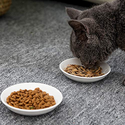 Plato de salsa de Cerámica estupendo lindo del Gato, condimentos, Tazón de fuente de la soja del sushi, Porcelana maullido Pequeño platillo (Conjunto de 6)