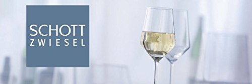 Schott Zwiesel Basic Pilsner - Juego de 6 vasos de cerveza (7,6 x 7,6 x 17,8 cm)
