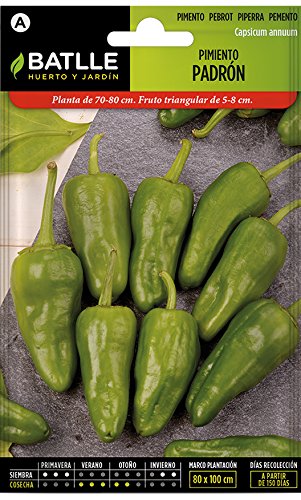 Semillas Hortícolas - Pimiento Padrón - Batlle