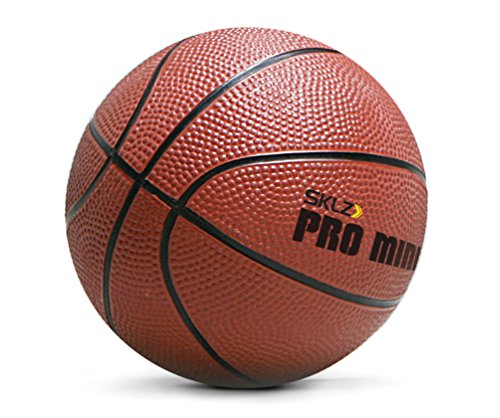 SKLZ XL Canasta Interior, Basketballkorb Pro Mini Hoop, Mehrfarbig, NSK000008, Púrpura (Lila)