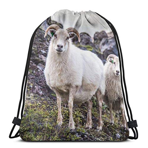 Smalaty Oveja islandesa Naturaleza Islandia Parques Piel al Aire Libre Fresco Súper Suave Paquete Deportivo Gimnasio Mochila con cordón Mochila Bolsa para Hombres, Mujeres 17X14 Pulgadas